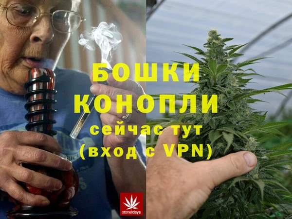 молекула духа Аркадак