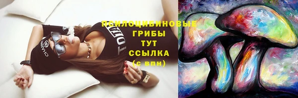 молекула духа Аркадак