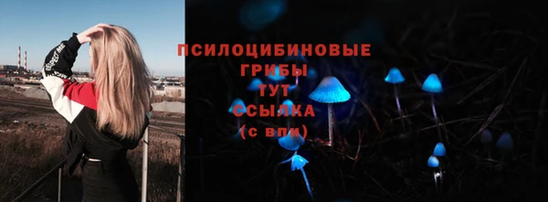 молекула духа Аркадак