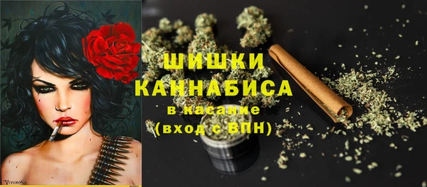 молекула духа Аркадак