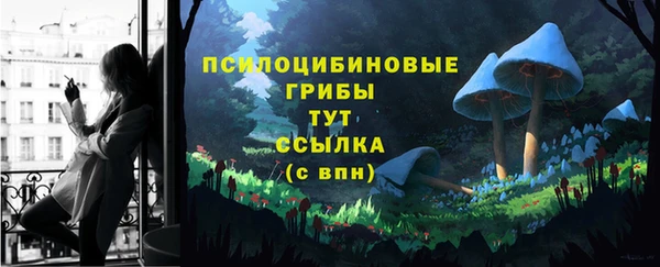 МДПВ Армянск